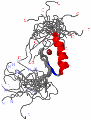 Image NMR Structure - all models