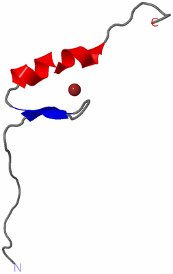 Image NMR Structure - model 1