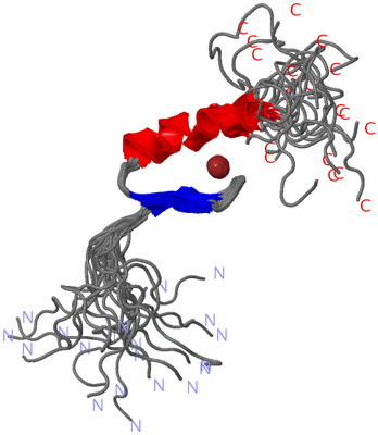 Image NMR Structure - all models