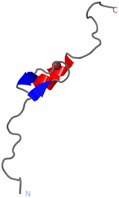 Image NMR Structure - model 1