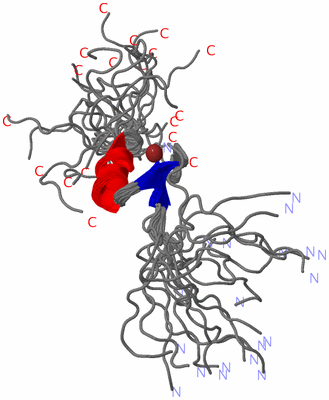 Image NMR Structure - all models