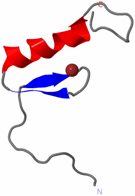 Image NMR Structure - model 1