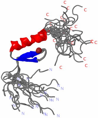 Image NMR Structure - all models