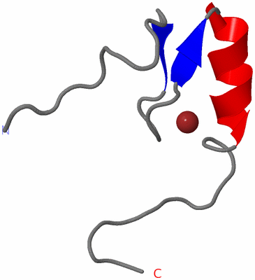 Image NMR Structure - model 1