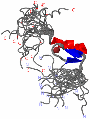 Image NMR Structure - all models