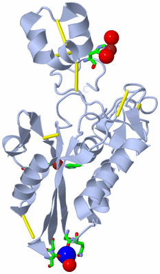 Image Biol. Unit 1 - sites