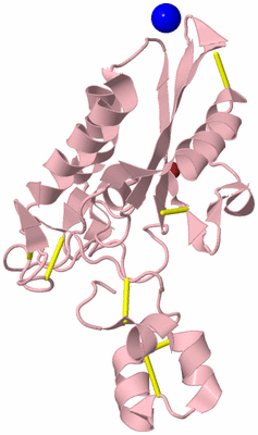 Image Biological Unit 3