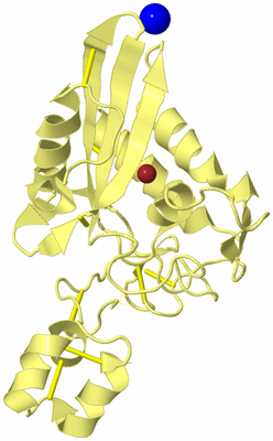 Image Biological Unit 4