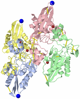 Image Biological Unit 5