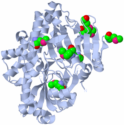 Image Biological Unit 1