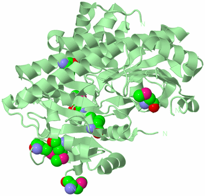 Image Biological Unit 2