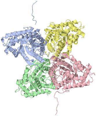 Image Asym./Biol. Unit