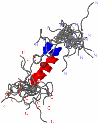 Image NMR Structure - all models