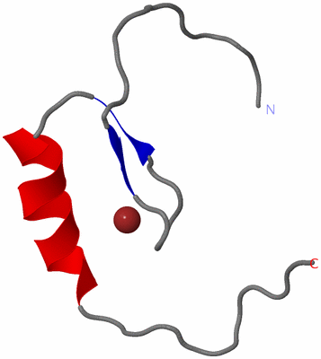 Image NMR Structure - model 1