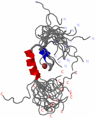 Image NMR Structure - all models