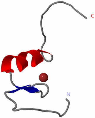 Image NMR Structure - model 1