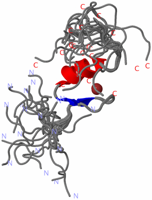 Image NMR Structure - all models