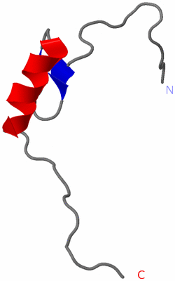 Image NMR Structure - model 1