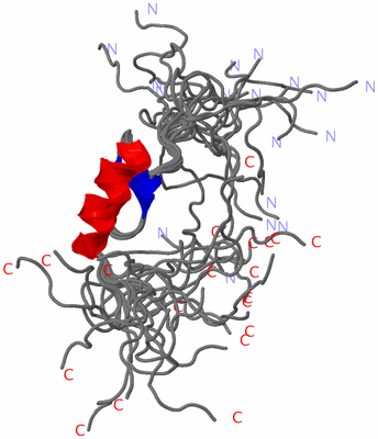 Image NMR Structure - all models