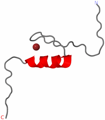 Image NMR Structure - model 1