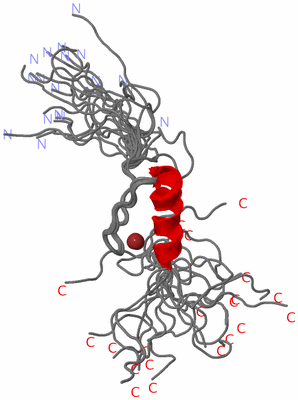 Image NMR Structure - all models