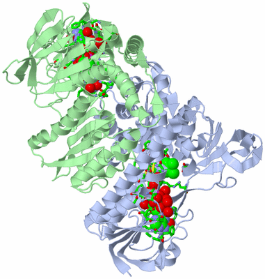 Image Asym./Biol. Unit - sites