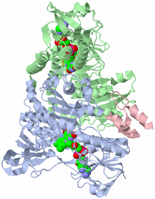 Image Biological Unit 1