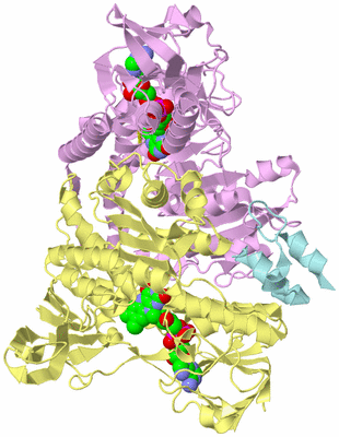 Image Biological Unit 2