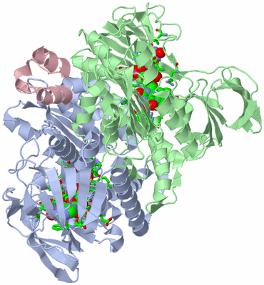 Image Biol. Unit 1 - sites