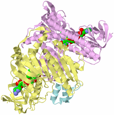 Image Biological Unit 2