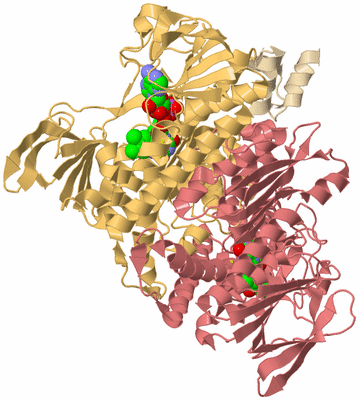 Image Biological Unit 3