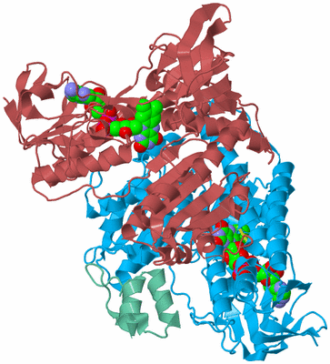 Image Biological Unit 4