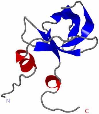 Image NMR Structure - model 1