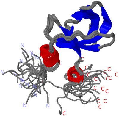 Image NMR Structure - all models
