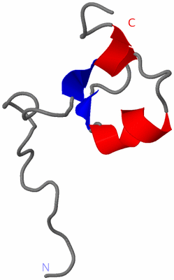 Image NMR Structure - model 1