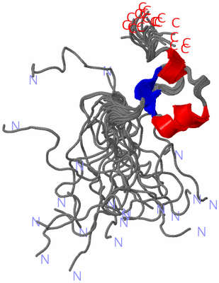 Image NMR Structure - all models