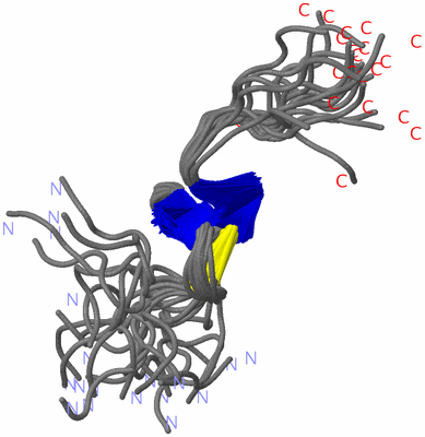 Image NMR Structure - all models