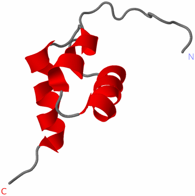 Image NMR Structure - model 1