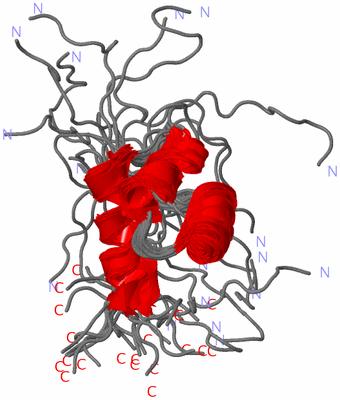 Image NMR Structure - all models