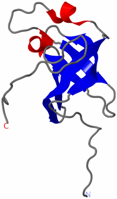 Image NMR Structure - model 1