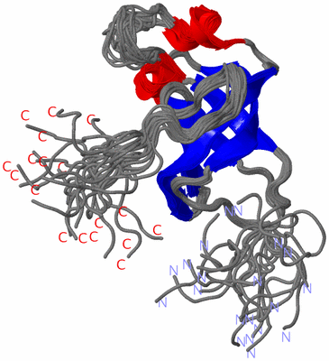 Image NMR Structure - all models