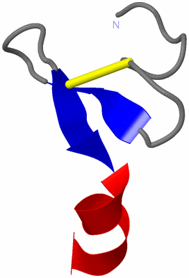 Image NMR Structure - model 1