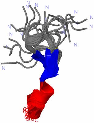 Image NMR Structure - all models