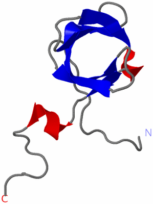 Image NMR Structure - model 1