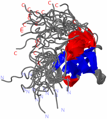 Image NMR Structure - all models