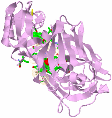 Image Asym./Biol. Unit - sites