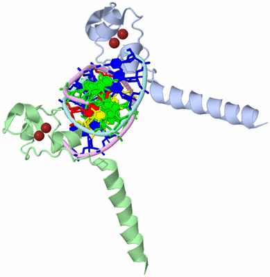 Image Biological Unit 1