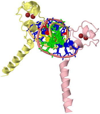 Image Biological Unit 2