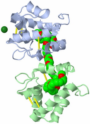 Image Biological Unit 3