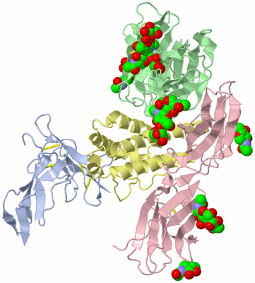 Image Biological Unit 1